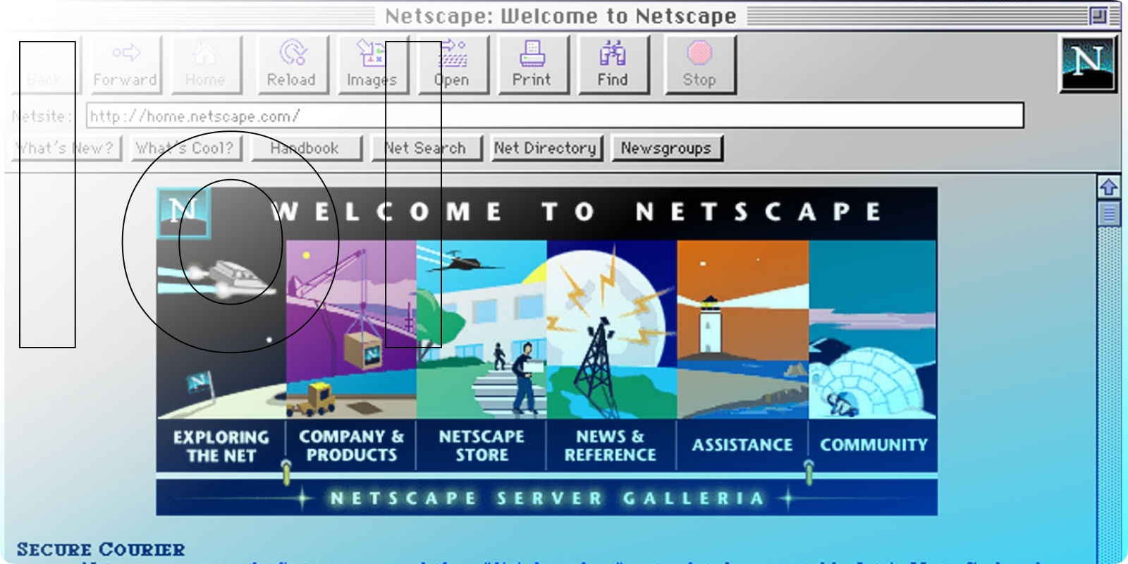 Puma acquires Netscape